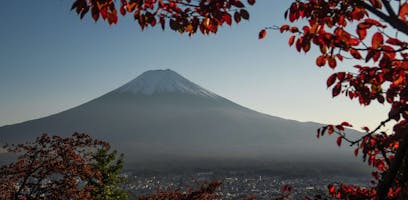 All You Need To Know About Visiting Japan