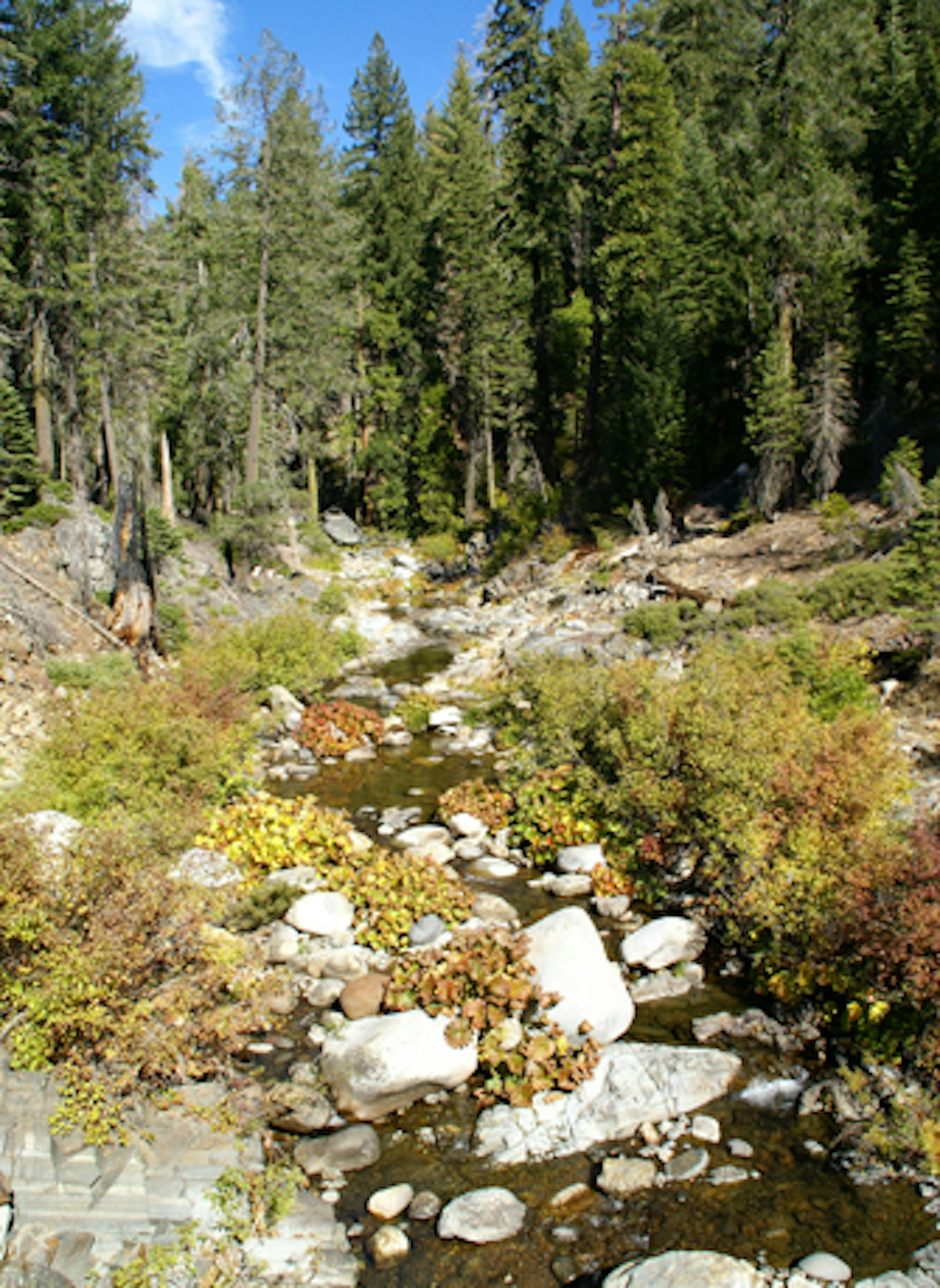 Photo of Duncan Creek