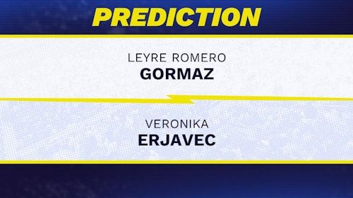 Leyre Romero Gormaz vs. Veronika Erjavec prediction, odds, picks for WTA Hamburg Open 2026