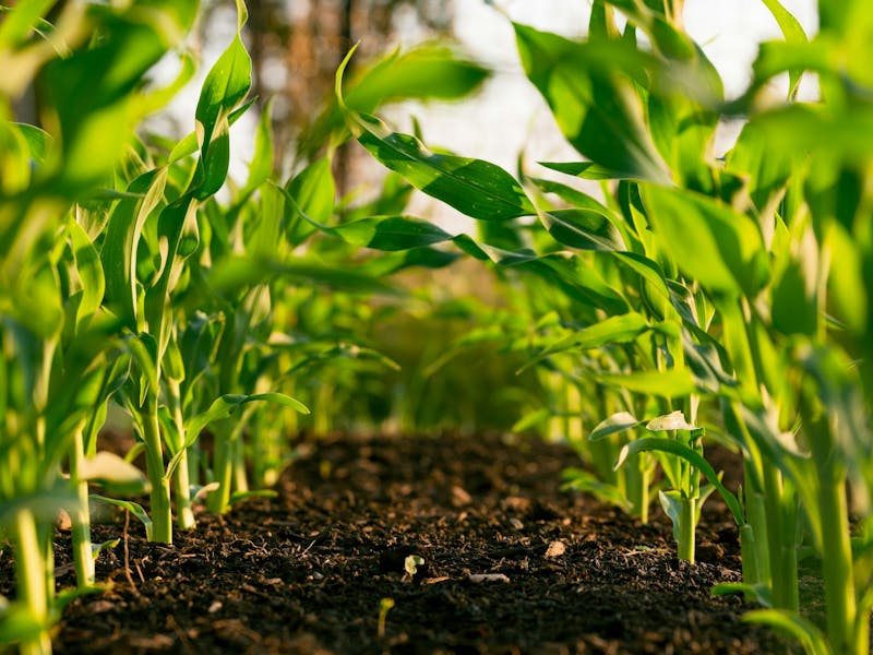 National AgriTech Resilience Programme gallery 1