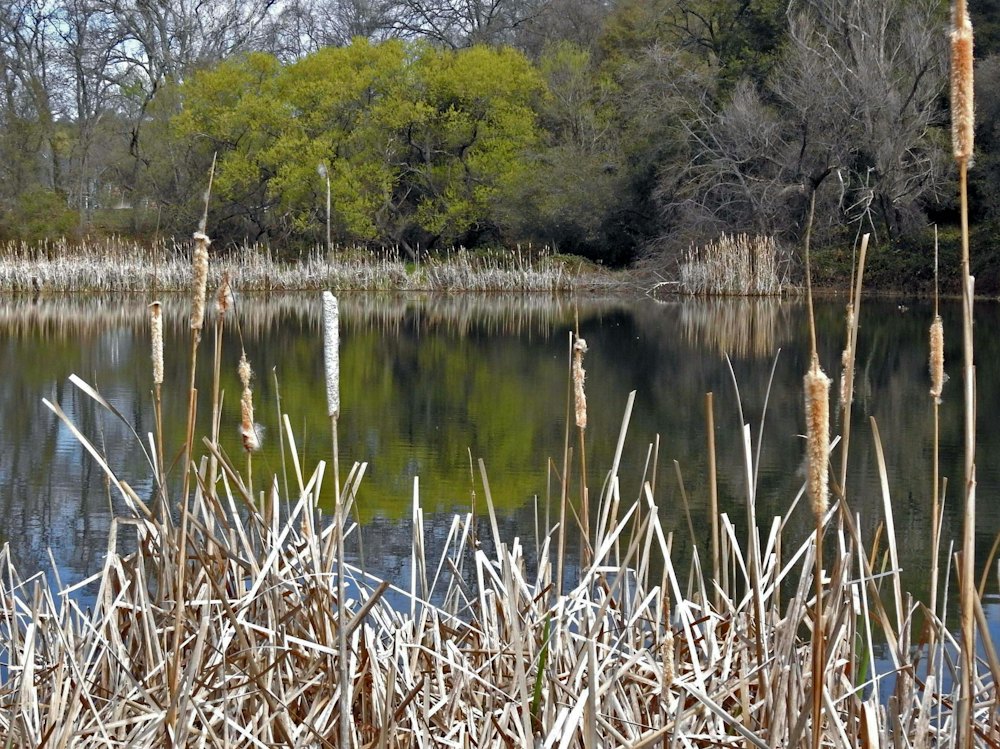 ks20240208_1.jpg
