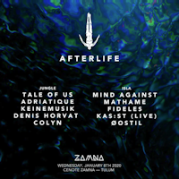 Exploring Tulum's Afterlife. A leading concept shaping the modern party ...